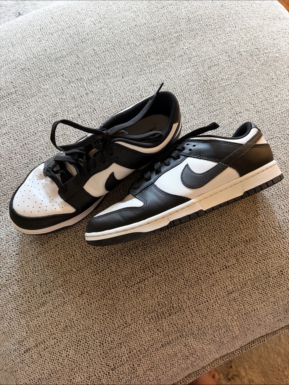 Nike Men’s Black/White Dunks Low-Top Sneakers